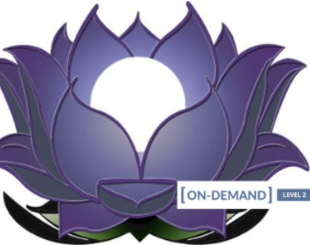 Purchuse On-Demand Meditation Level 2 Course - Gregor Maehle course at here with price $249 $59.