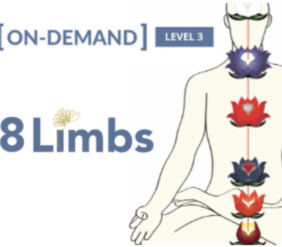 Purchuse On-Demand Meditation Level 3 Course - Gregor Maehle course at here with price $249 $59.