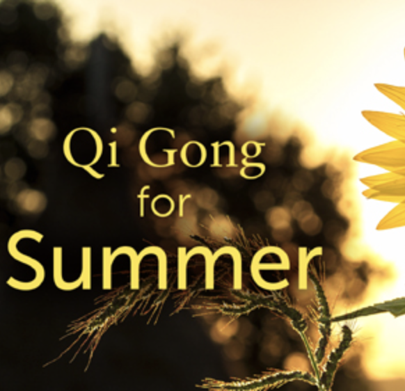 Purchuse Qi Gong for Summer Workshop - Lee Holden course at here with price $99 $29.