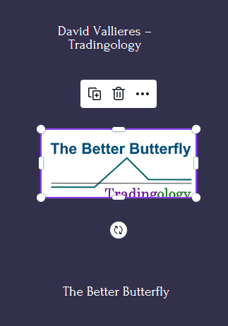 The Better Butterfly Course - David Vallieres – Tradingology